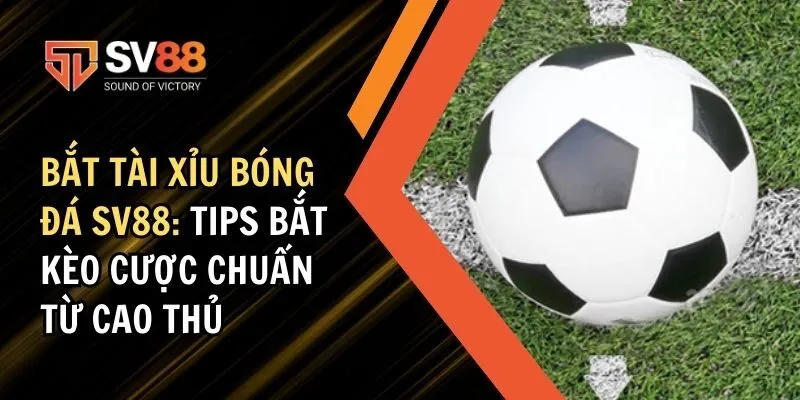 Bắt Tài Xỉu Bóng Đá SV88: Tips Bắt Kèo Chuẩn Từ Cao Thủ