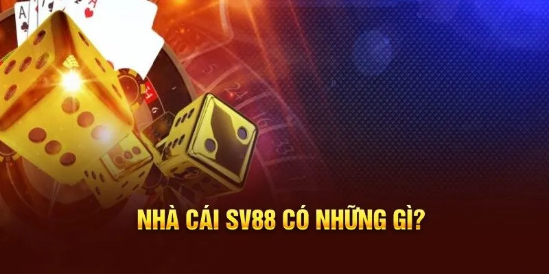 Sơ lược về chính sách và điều khoản nhà cái SV88