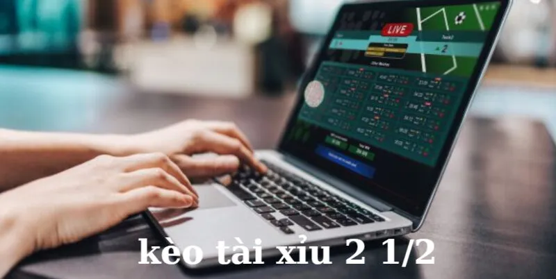 Tổng Quan Về Kèo Tài Xỉu 2 1/2